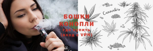 дурь Богданович