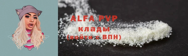 стаф Богородицк