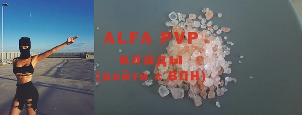стаф Богородицк