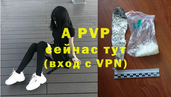 стаф Богородицк