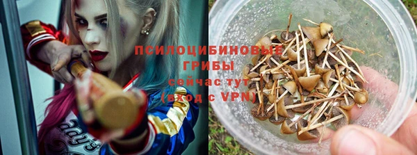 дурь Богданович