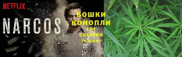 стаф Богородицк
