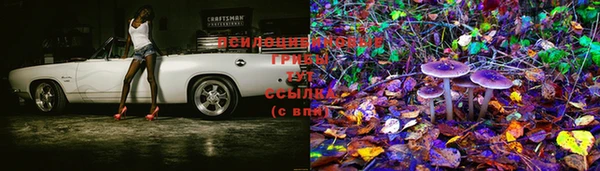 стаф Богородицк