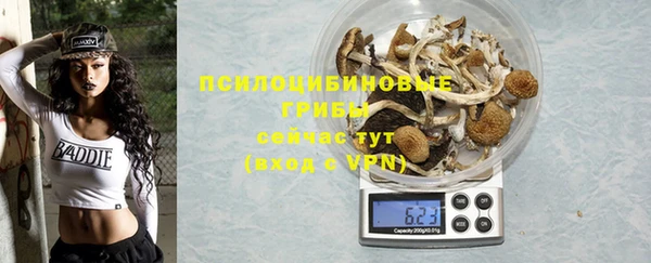 дурь Богданович