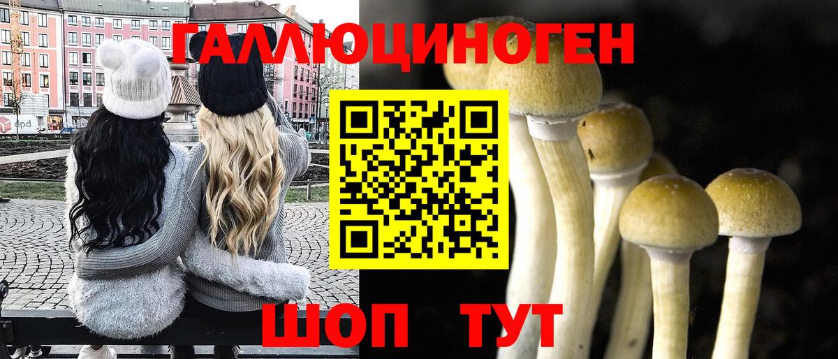 Галлюциногенные грибы мухоморы  Псилоцибиновые грибы Cubensis  Волжск  Вход с VPN 